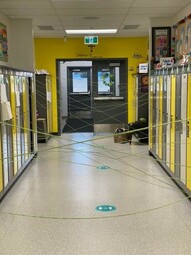 The leprechauns were busy making a web of string between the elementary lockers.