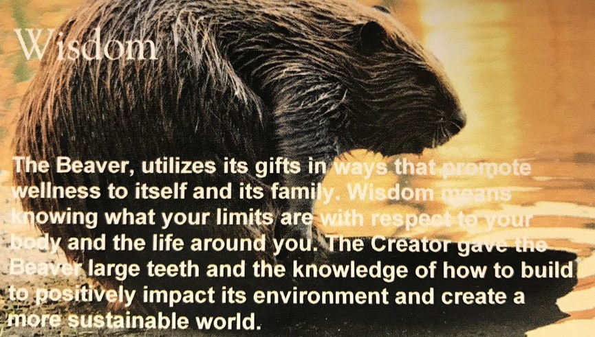 Wisdom Beaver - Sacred Teachings poster